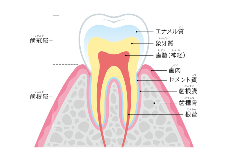 太白区・長町の歯がしみる