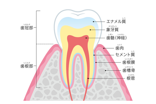 太白区・長町の歯がしみる